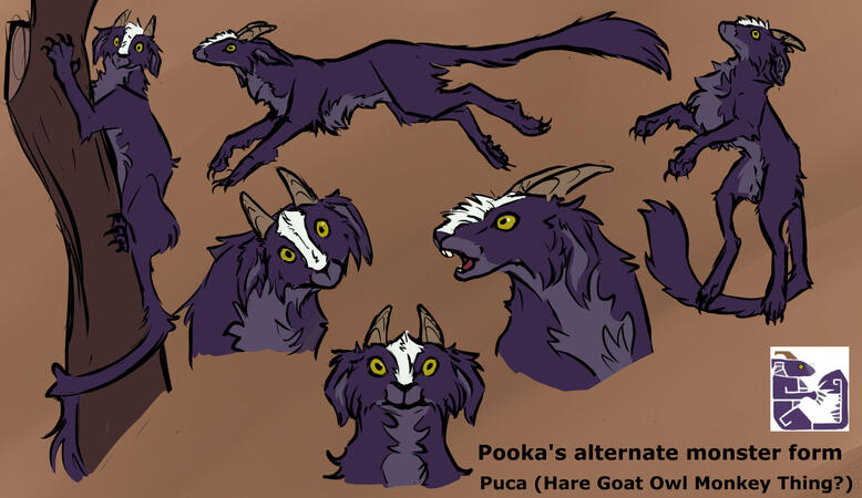 Pooka Puca ref sheet