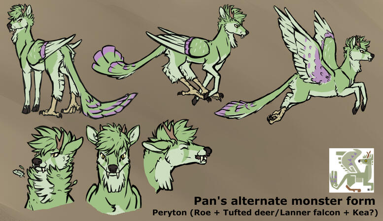 Peryton Pan ref sheet